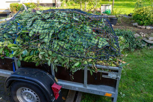 Best Shed Removal  in Sheridan, AR